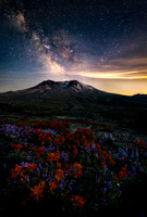 Nightscape